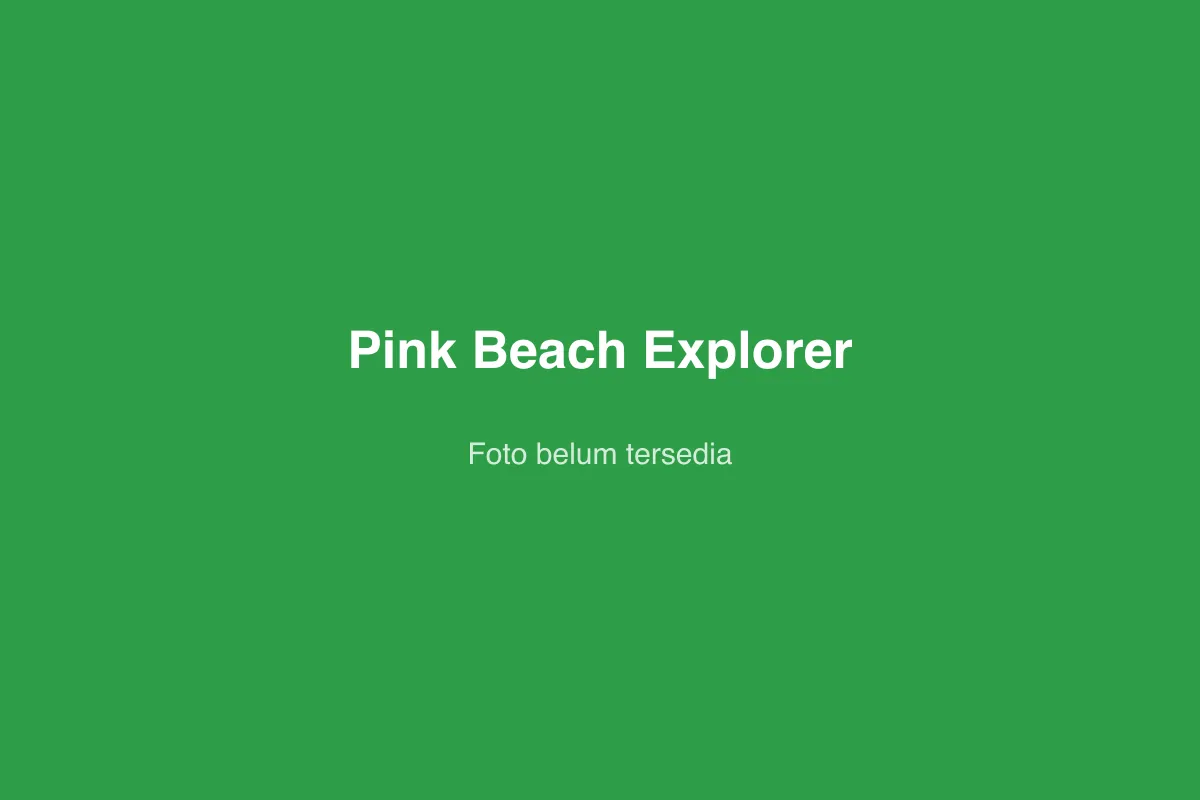 Pink Beach Explorer