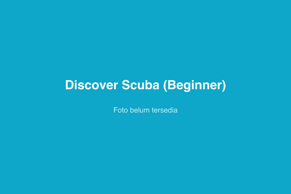 Discover Scuba (Beginner)