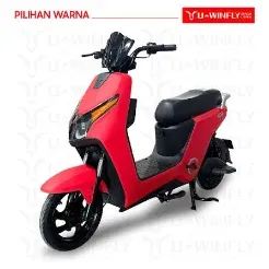 Rits City Cruiser 2
