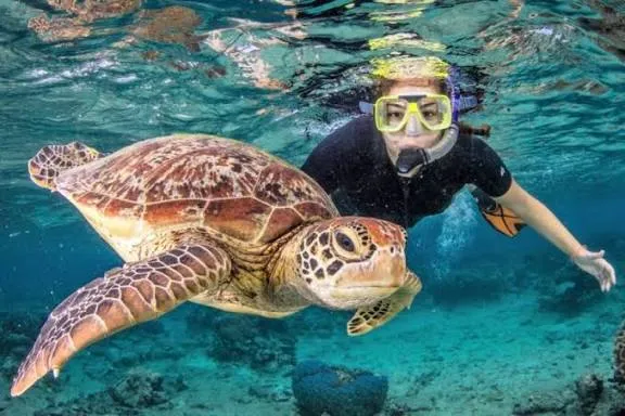 Snorkeling + Explore Gili 2