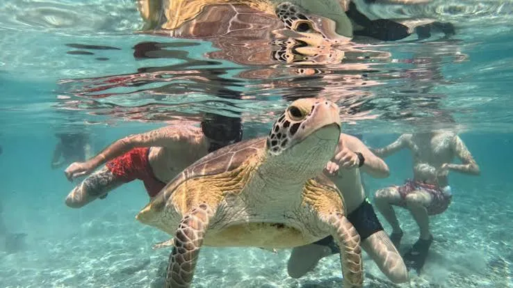 Snorkeling + Explore Gili 3