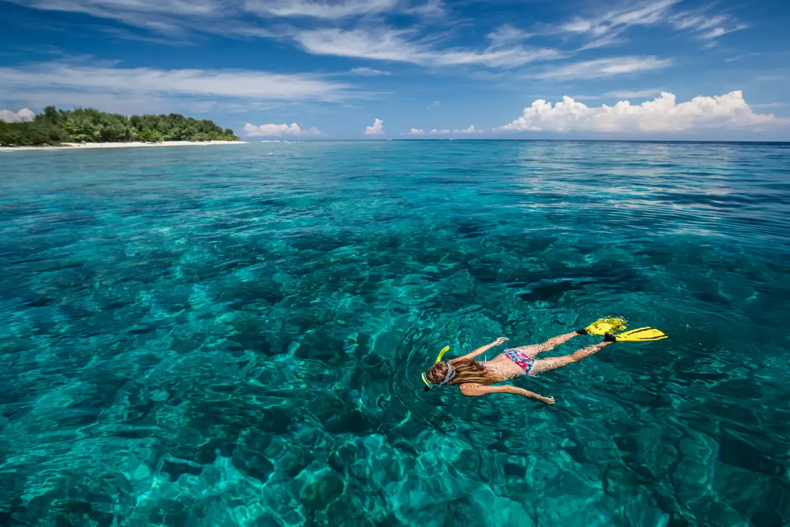 Snorkeling + Explore Gili 5